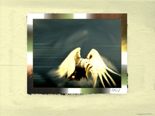 316772 (a): :1024x768